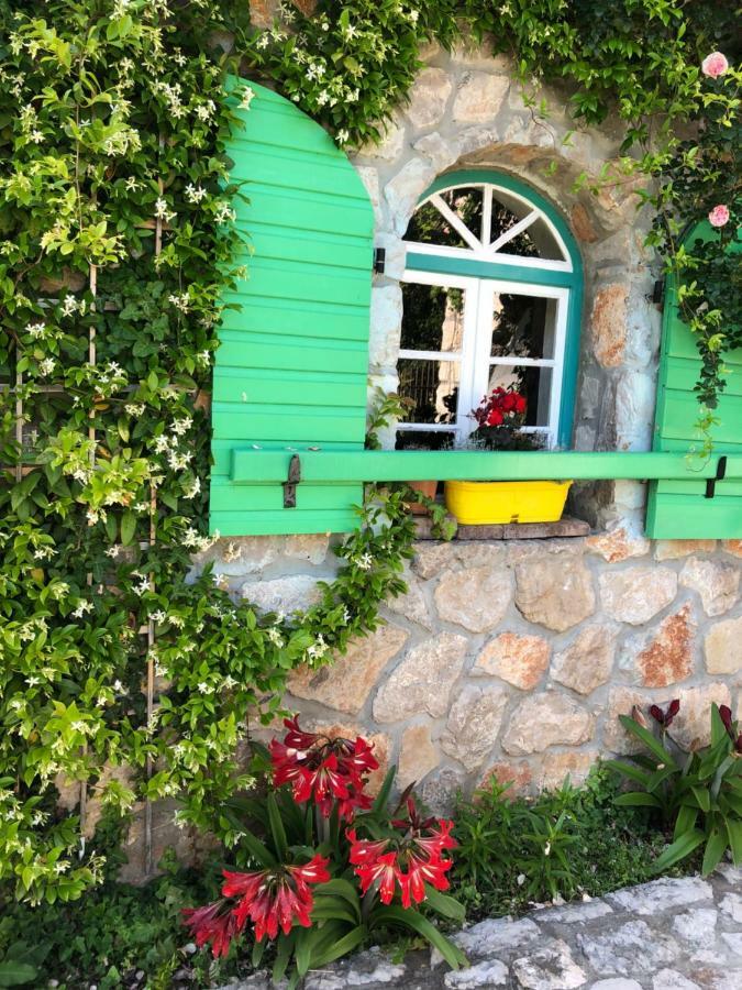 Lake House Puro Dodosi Bagian luar foto